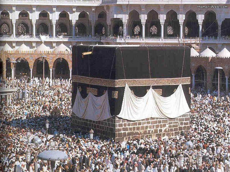  ��: ������ ������� 