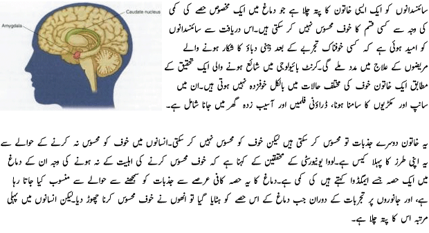 A Women That Don't Fears - Urdu World Article A Women That Don't Fears - Urdu World Article