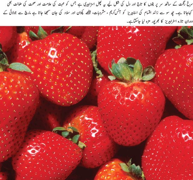 Strawberry An Amazing Fruit - Urdu Article