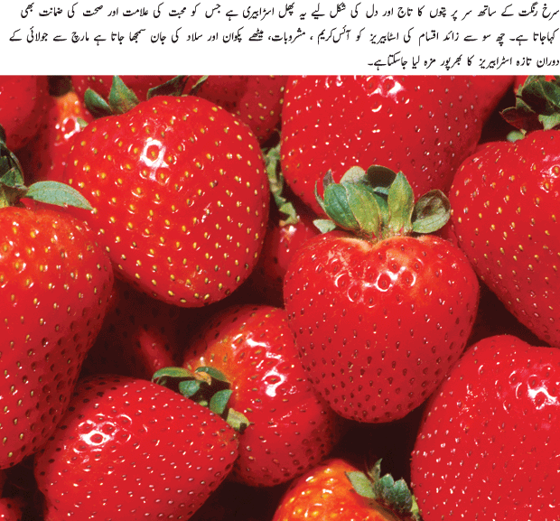 Strawberry An Amazing Fruit - Urdu Article Strawberry An Amazing Fruit - Urdu Article