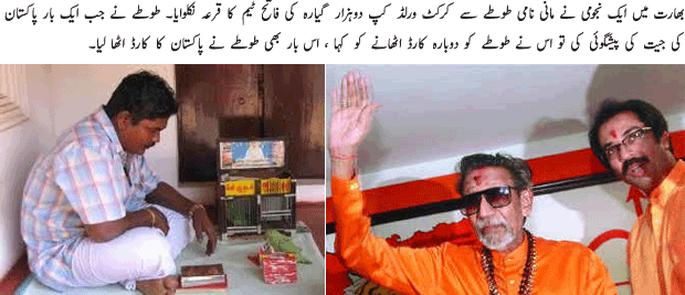 Parrot Also Not Saved From Shiv Sena - Urdu Article Parrot Also Not Saved From Shiv Sena - Urdu Article