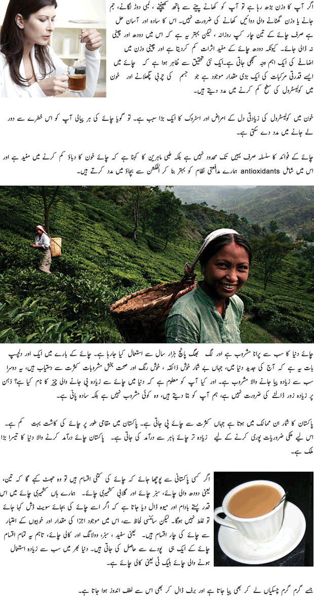Tea Useful In Many Diseases - Urdu Article