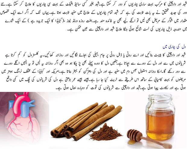 Honey Is Cure Of Many Diseases - Urdu Article