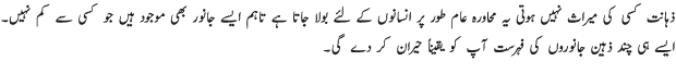 Most Genius and Intelligent Animals of World - Urdu Article Most Genius and Intelligent Animals of World - Urdu Article
