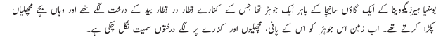 40205_01.gif