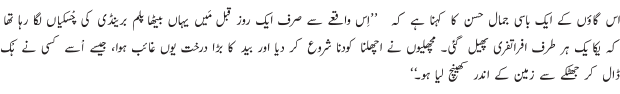 40205_05.gif