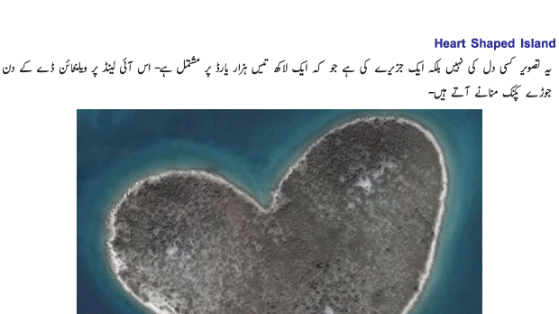[Image: 5126_05.gif]
