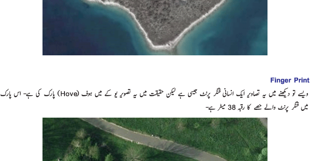 [Image: 5126_06.gif]