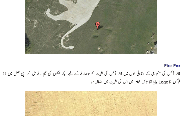 [Image: 5126_12.gif]