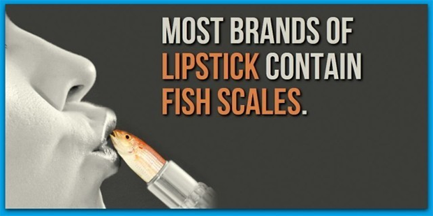 Different shades of lipstick