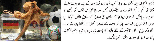Paul The Octopus Died - Urdu Sports Article Paul The Octopus Died - Urdu Sports Article