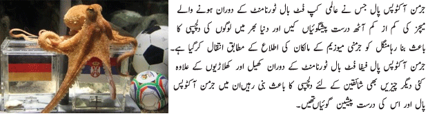 Paul The  Octopus Died - Urdu Sports Article