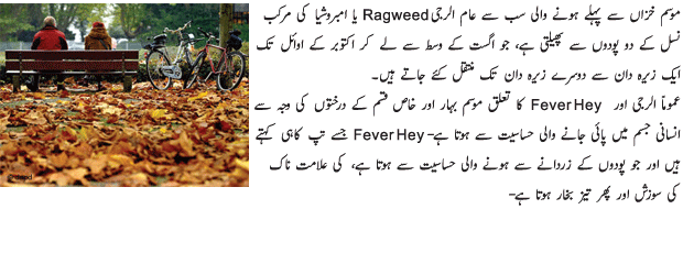 Chances of Allergy in Changing Season - Urdu Health Article Chances of Allergy in Changing Season - Urdu Health Article