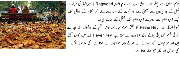 Chances of Allergy in Changing Season - Urdu Health Article