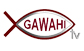 Gawahi TV