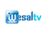 Wesal TV