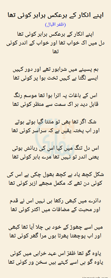 Apne Inkaar Ke Bar Aks Barabar Koi Tha