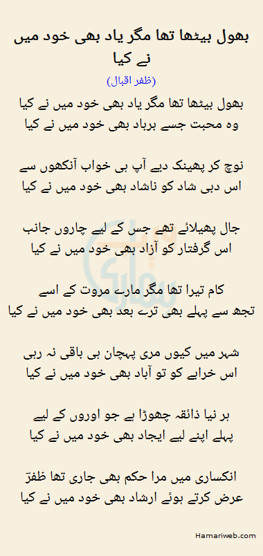 Bhool Betha Tha Magar Yaad Bhi Khud Mein Ne Kya