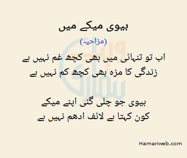Biwi Maikay Mein Biwi Maikay Mein