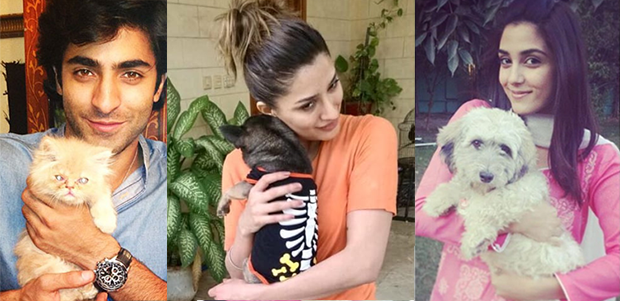 Entertainment Articles : Hamariweb.com - مہنگے ترین پالتو جانور اور ان کے  مہنگے ترین نخرے۔۔۔پاکستانی سلیبریٹیز کے شوق نرالے
