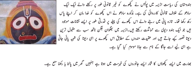 Kachway Ko Khuda Samajhne Per Muqadma کچھوے کو خدا سمجھنے پر مقدمہ