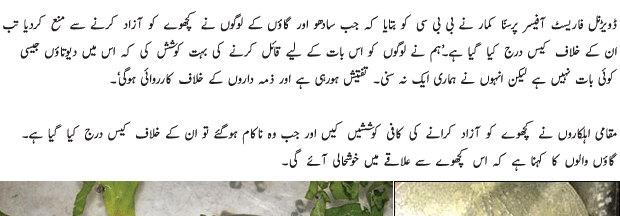 Kachway Ko Khuda Samajhne Per Muqadma کچھوے کو خدا سمجھنے پر مقدمہ