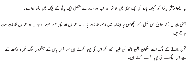 Kachway Ko Khuda Samajhne Per Muqadma کچھوے کو خدا سمجھنے پر مقدمہ