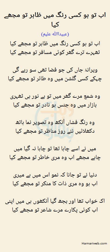 Ab To Ho Kisi Rang Mein Zahir To Mujhe Kya