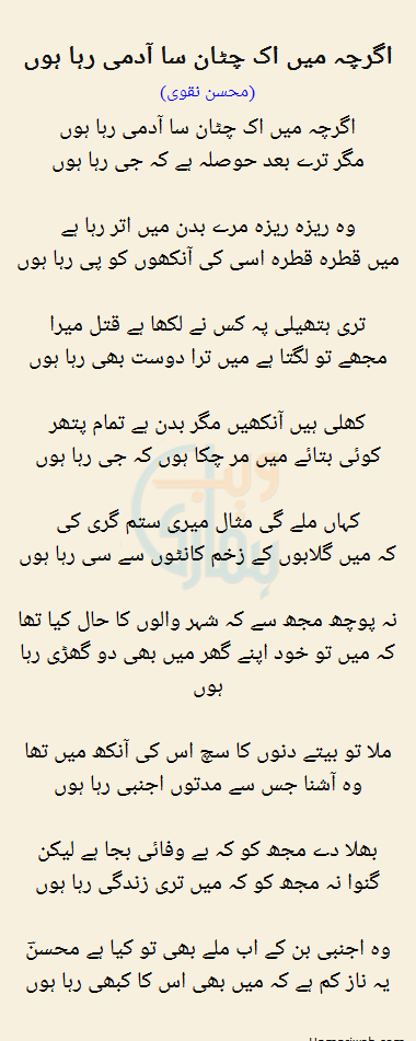 Agarchay Mein Ek Chhota Sa Aadmi Raha Hun