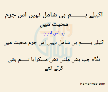 Akele Hum Hi Shamil Nahi The Is Jurm Mohabbat Mein