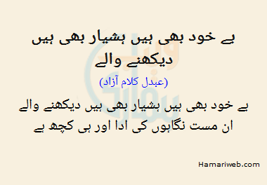Be Khud Bhi Hai Hushyar Bhi Hain Daikhnay Walay