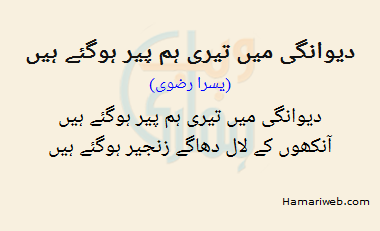 Deewangi Mein Teri Hum Peer Hogaye Hain