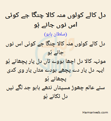 Dil Kalay Kolon Mun Kala Changa Jay Koi Is Nu Jane Hoo