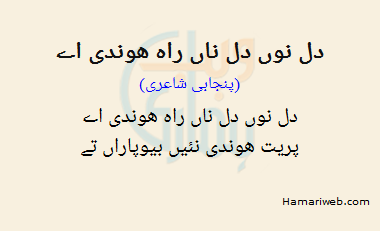 Dil Nu Dil Naan Raah Hondi Ay