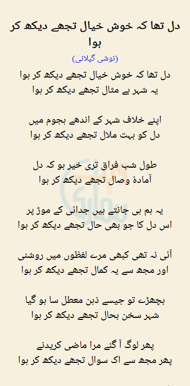 Dil Tha Ke Khush Khayaal Tujhe Dekh Kar Hua