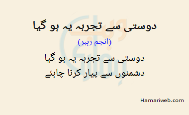 Dosti Se Tajurba Yeh Ho Gaya