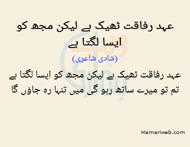 Ehad Rafaqat Theek Hai Lekin Mujh Ko Aisa Lagta Hai