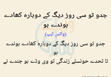 Jado To Si Roz Daig Ke Dobarah Khaade Hunde Ho