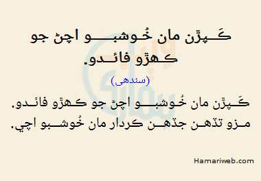 Keran Maan Khuhboo Achat Jo Gharro Faido