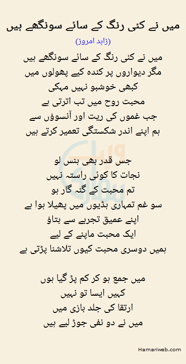 Mein Ne Kayi Rang Ke Saaye Soonghay Hain