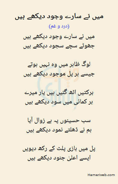 Mein Ne Saaray Wujood Dekhe Hain