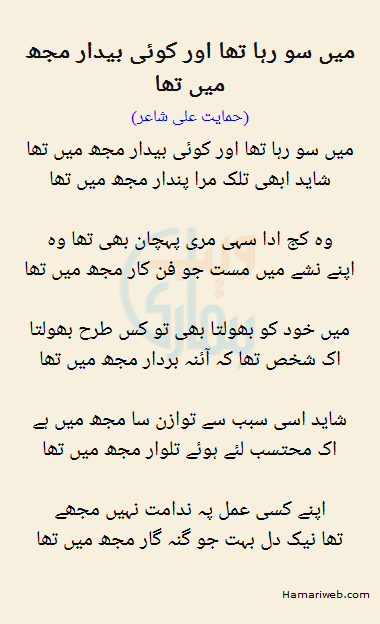 Mein So Raha Tha Aur Koi Bedaar Mujh Mein Tha