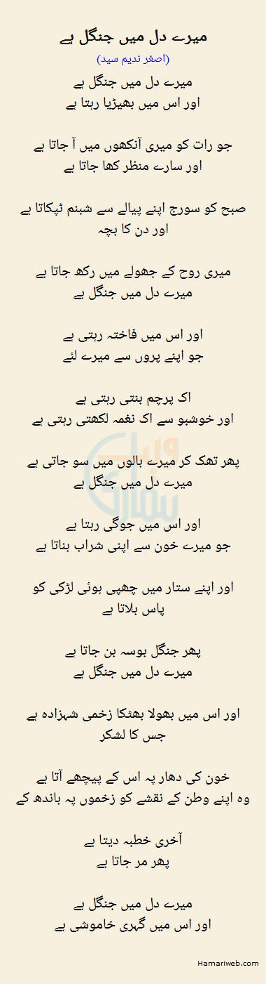 Mere Dil Mein Jungle Hai