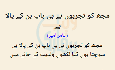 Mujh Ko Tajarbon Ne Hi Baap Ban Ke Paala Hai