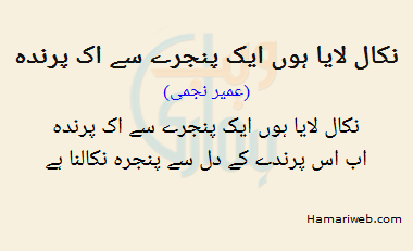 Nikaal Laya Hoon Ek Pinjare Se Ek Parinda