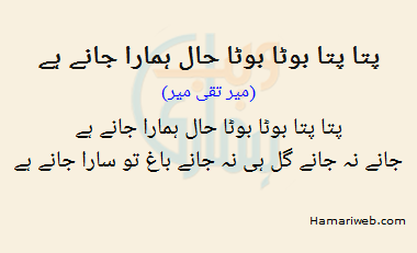 Patta Patta Boota Boota Haal Hamara Jane Hai Patta Patta Boota Boota Haal Hamara Jane Hai