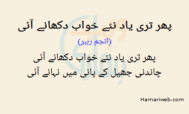 Phir Teri Yaad Naye Khawab Dekhane Aayi