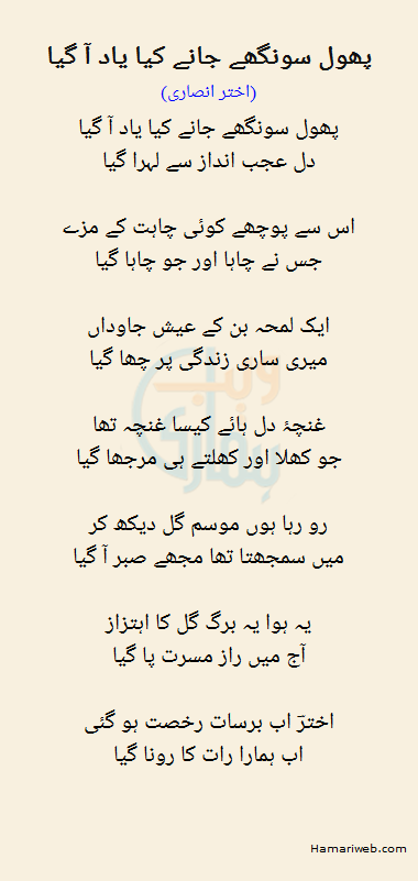 Phool Sunghe Jane Kya Yaad Aa Gaya