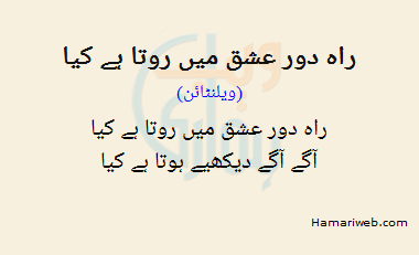 Raah Daur Ishq Mein Rota Hai Kya Raah Daur Ishq Mein Rota Hai Kya