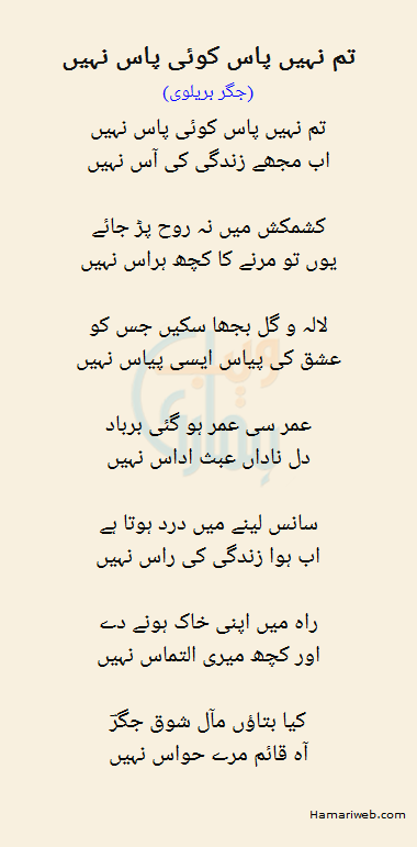 Tum Nahi Paas Koi Paas Nahi